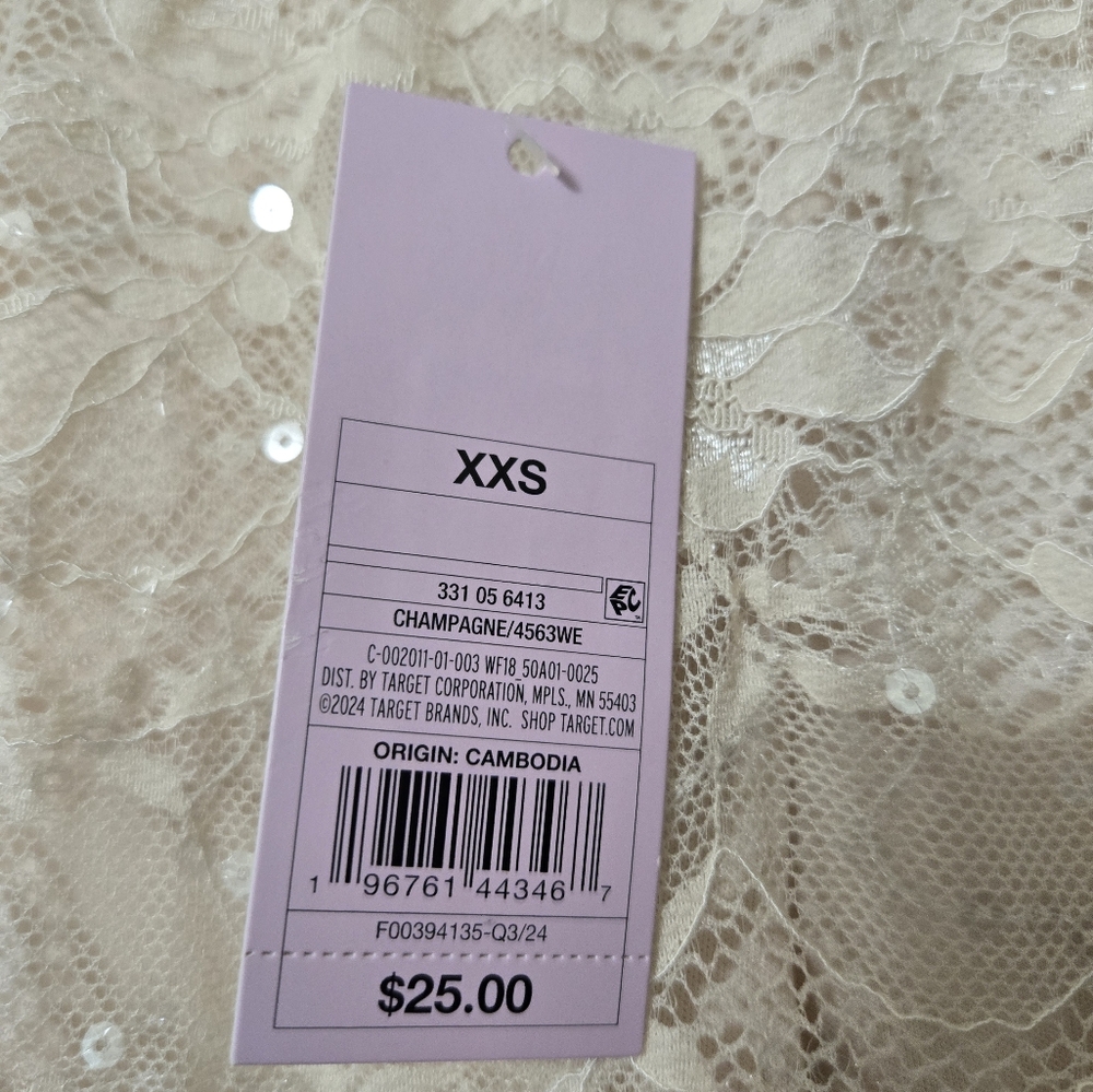 Wild Fable Champagne Lace Maxi Skirt W/Sequins, Size XXS, NWT - Picture 8 of 11
